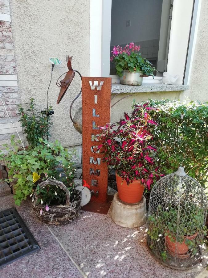 Ferienwohnung Zur Alten Eiche Frohburg Eksteriør billede